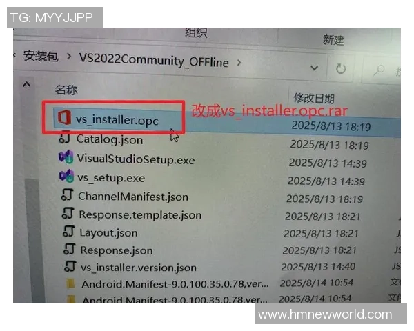 在VS2019中编写FC程序的最佳实践与技巧分享